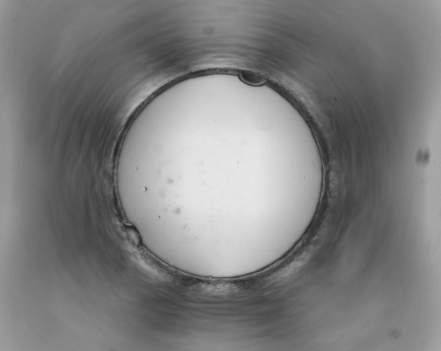 X0000091061129200709041153