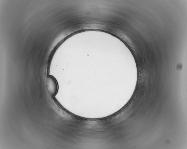 X0000091061130200709041153