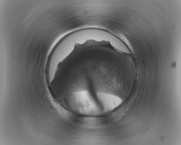 X0000091061132200709041153