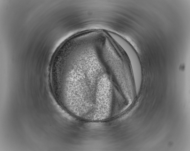 X0000091061134200709041153