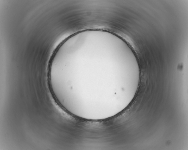 X0000091061135200709041153