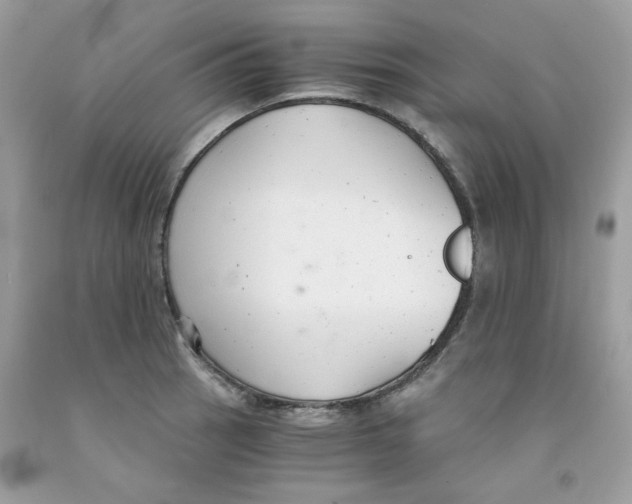 X0000091061137200709041153