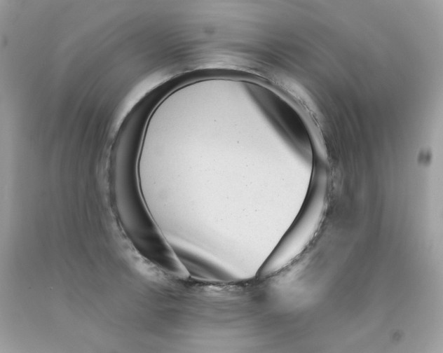 X0000091061138200709041153