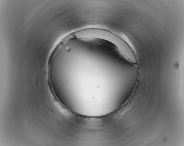 X0000091061140200709041153