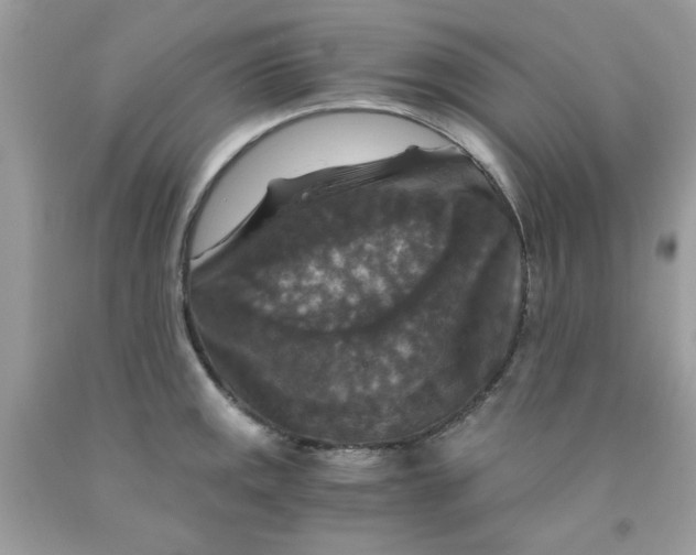 X0000091061141200709041153