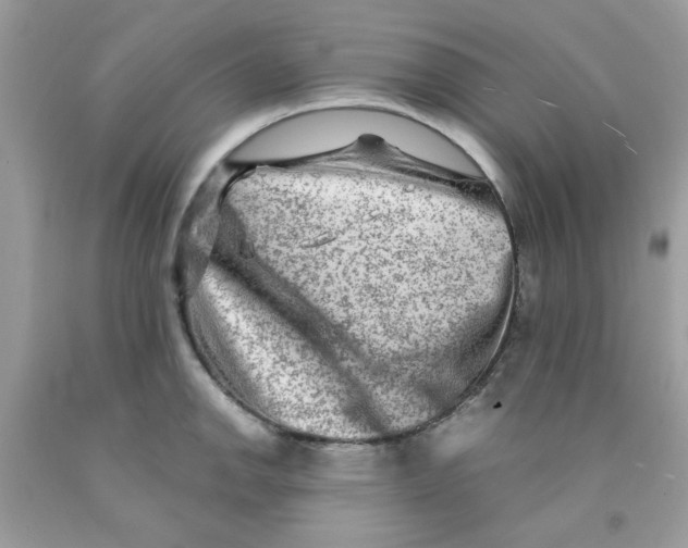 X0000091061142200709041153