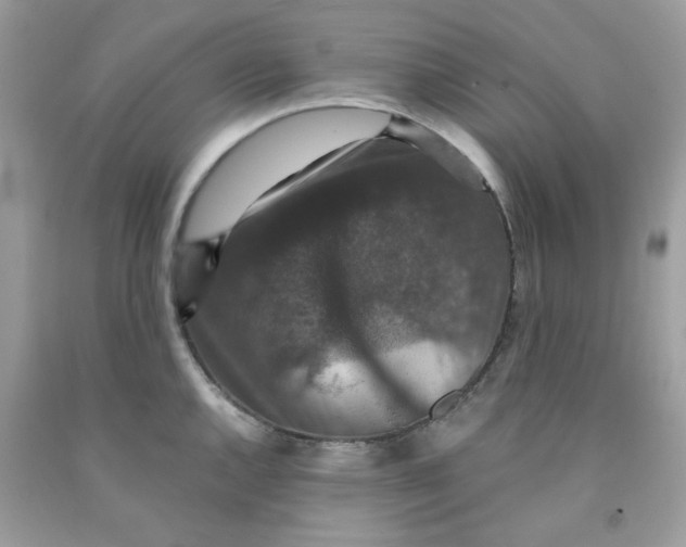 X0000091061144200709041153