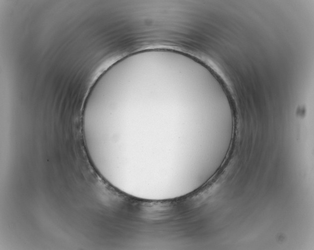 X0000091061145200709041153