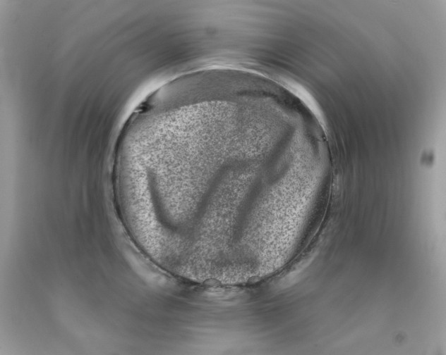 X0000091061146200709041153