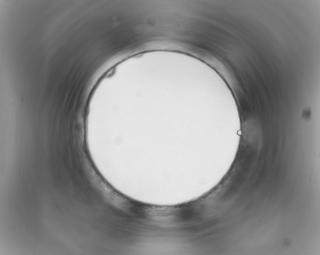 X0000091061150200709041153