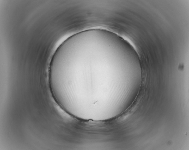 X0000091061151200709041153