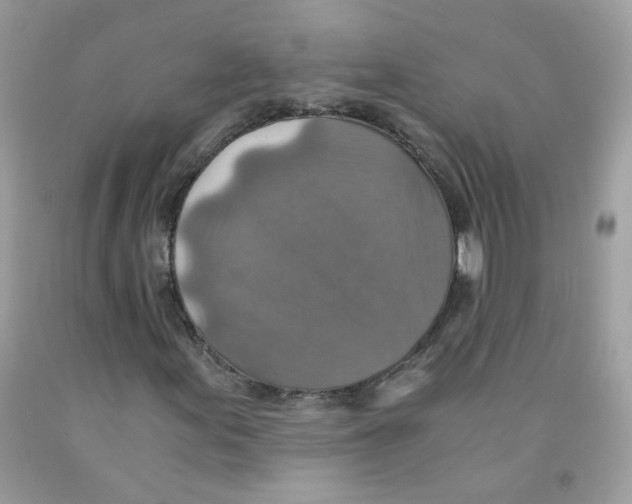 X0000091061155200709041152