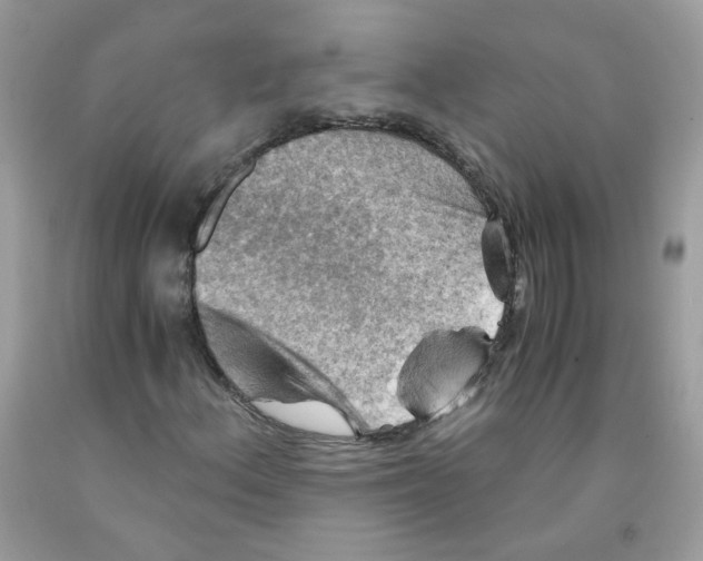 X0000091061156200709041152