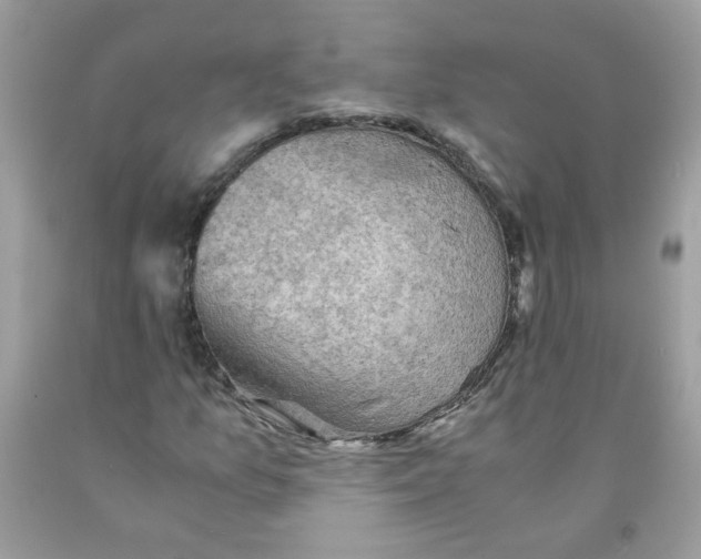 X0000091061157200709041152