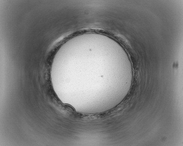 X0000091061159200709041152