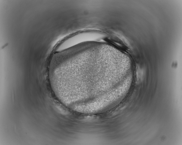 X0000091061160200709041152