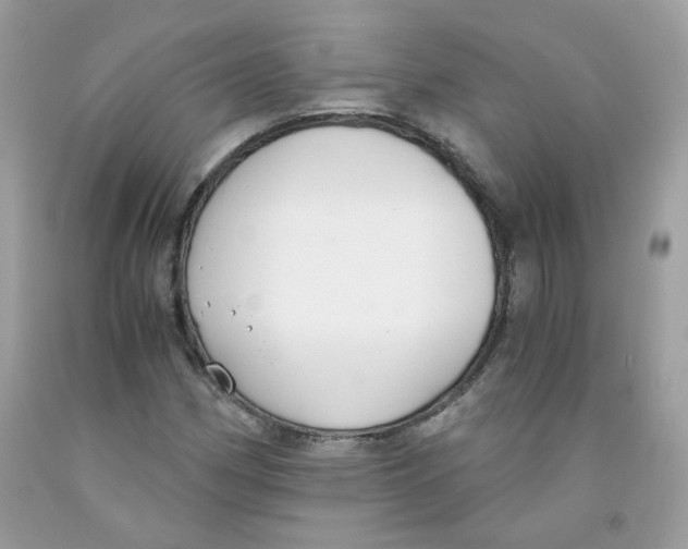 X0000091061162200709041152