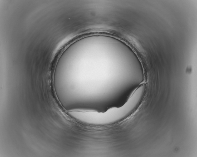 X0000091061164200709041152