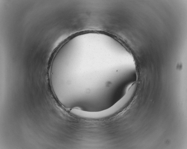 X0000091061168200709041152