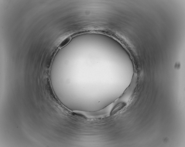 X0000091061169200709041152