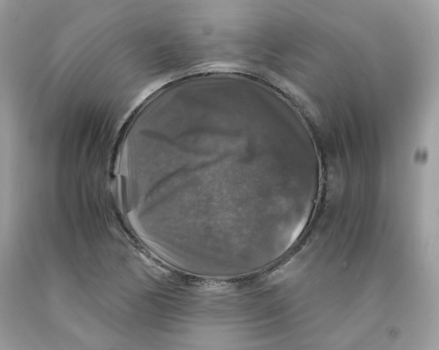 X0000091061170200709041152