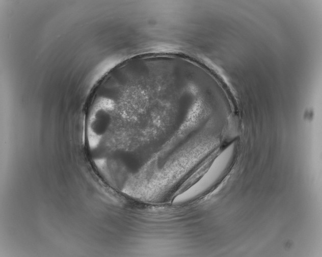 X0000091061171200709041152