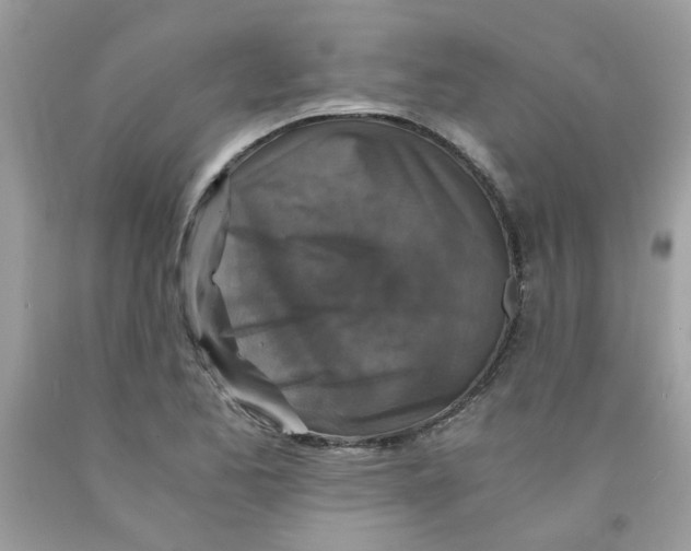 X0000091061173200709041152