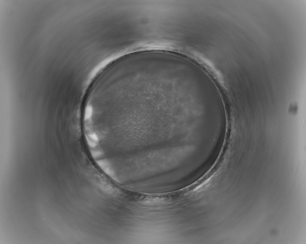 X0000091061174200709041152