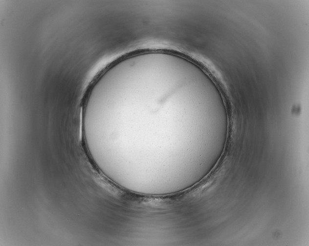 X0000091061175200709041152