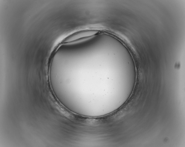 X0000091061176200709041152