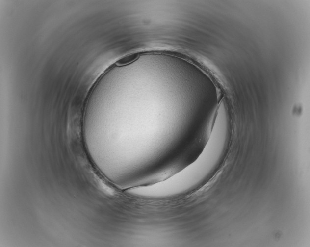 X0000091061177200709041152