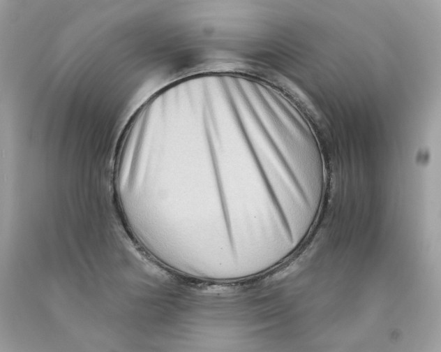 X0000091061178200709041152