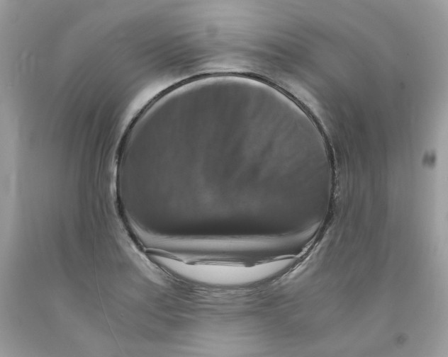 X0000091061179200709041152