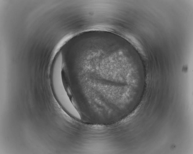 X0000091061180200709041152