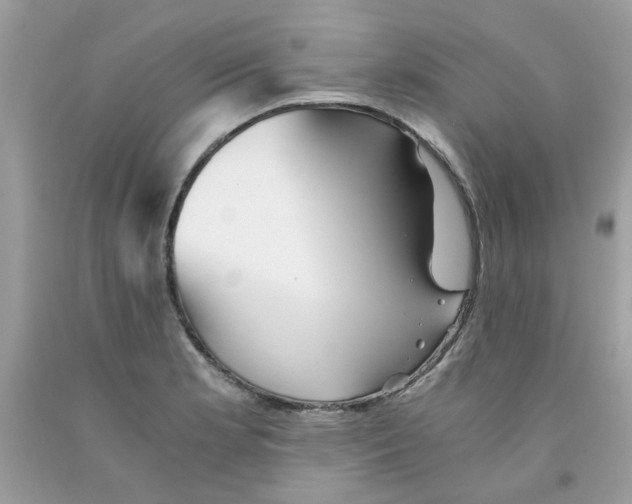 X0000091061181200709041152