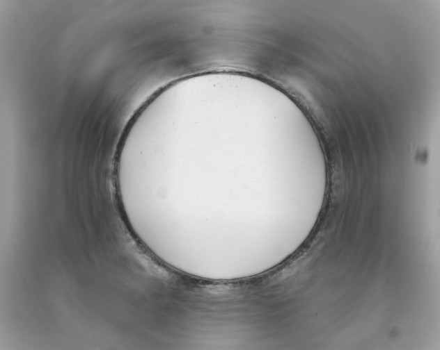 X0000091061182200709041152