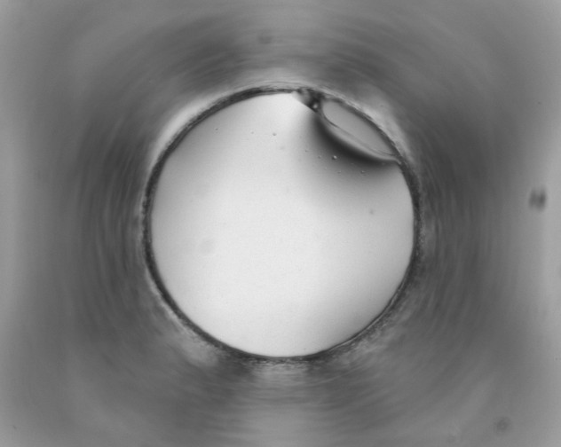 X0000091061183200709041152