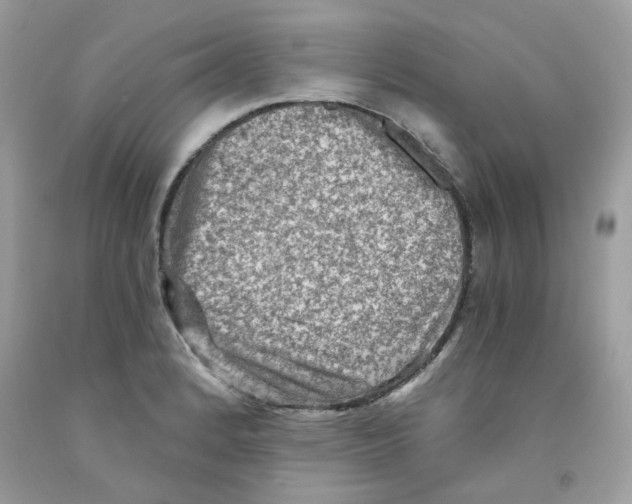 X0000091061184200709041152