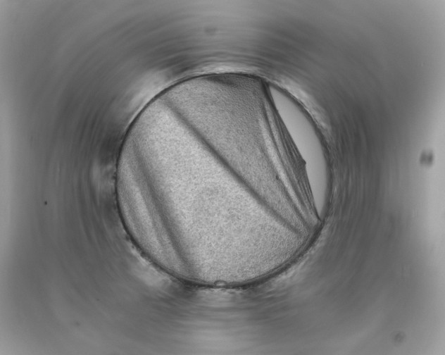 X0000091061185200709041152