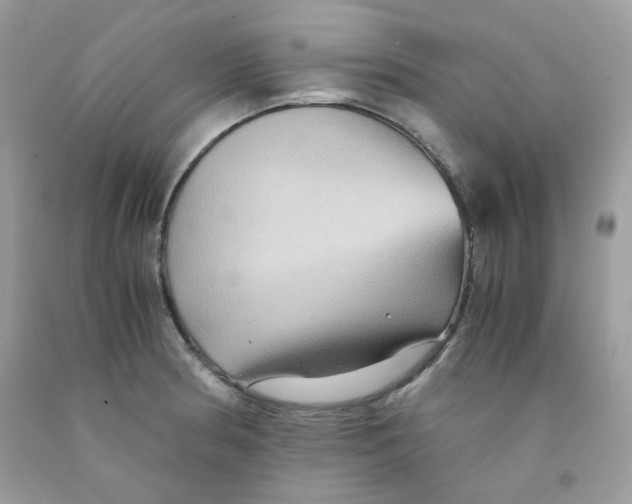 X0000091061186200709041152