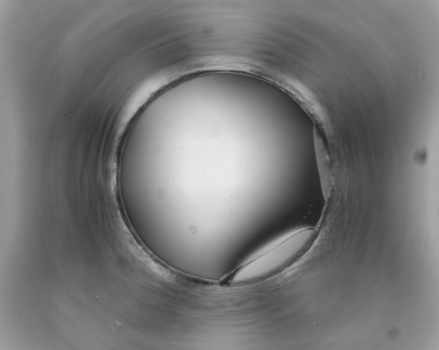 X0000091061188200709041152