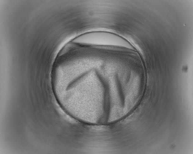 X0000091061189200709041152