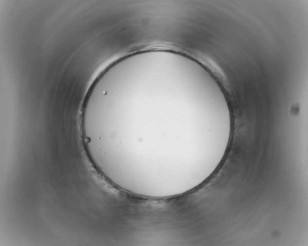 X0000091061190200709041152