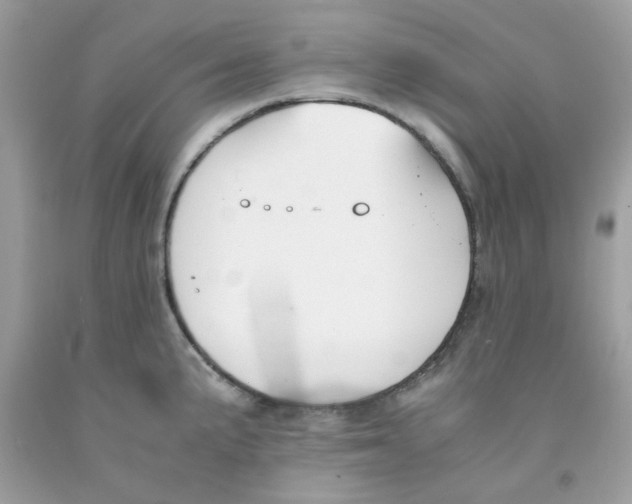 X0000091061191200709041152