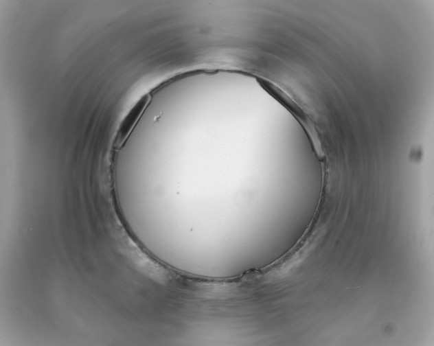 X0000091061192200709041152