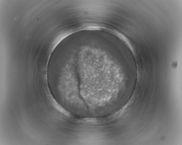 X0000091061194200709041152