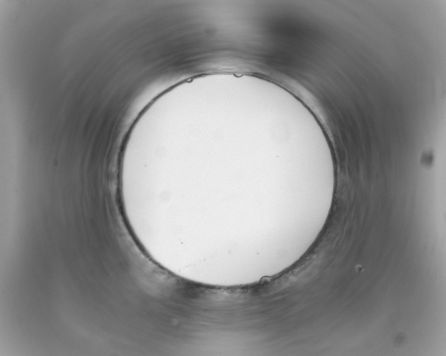 X0000091061195200709041152