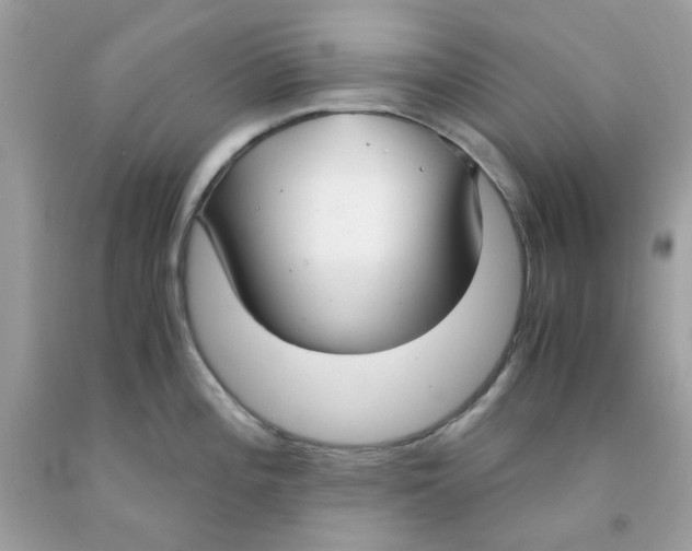 X0000091061196200709041152