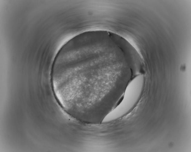 X0000091061197200709041152