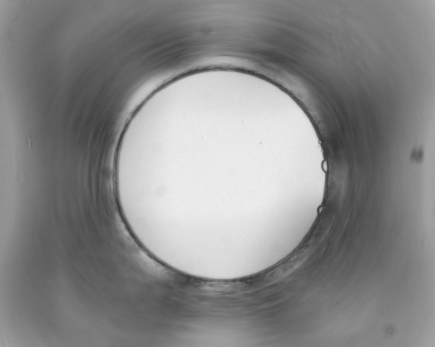 X0000091061199200709041152